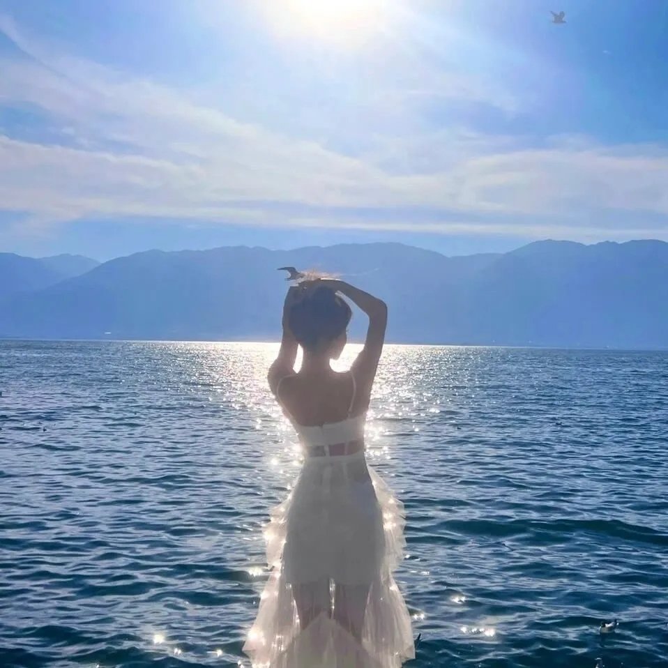 特别搜查:死囚来信